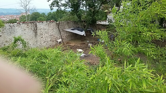 Il giardino della Mirra prima del restauro