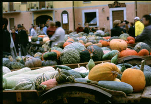 Fiera Regionale della zucca