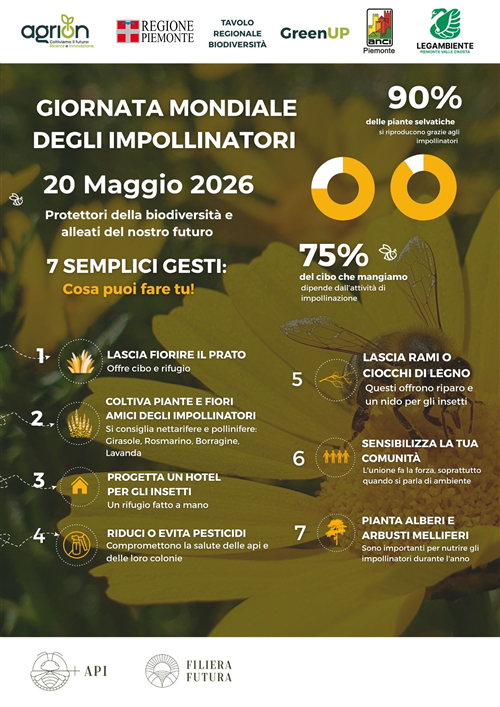 Giornata Mondiale delle Api 2026