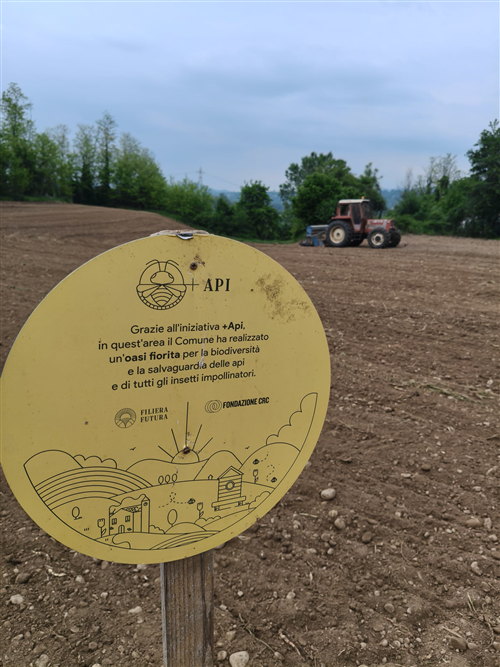 Avvio ufficiale del progetto +Api 2026
